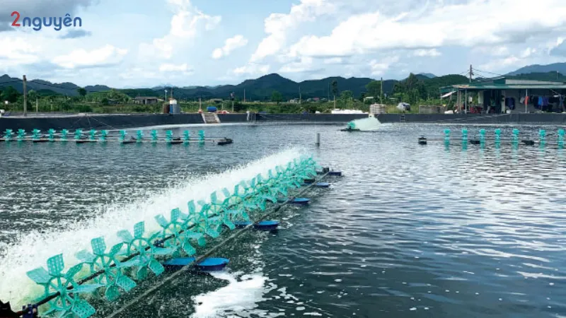 alt="nguyên nhân gây bệnh tôm bị phân trắng"