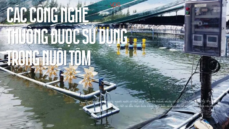 alt="các công nghệ được sử dụng trong nuôi tôm"