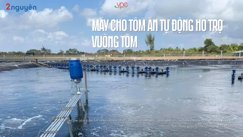 alt="máy cho tôm ăn"