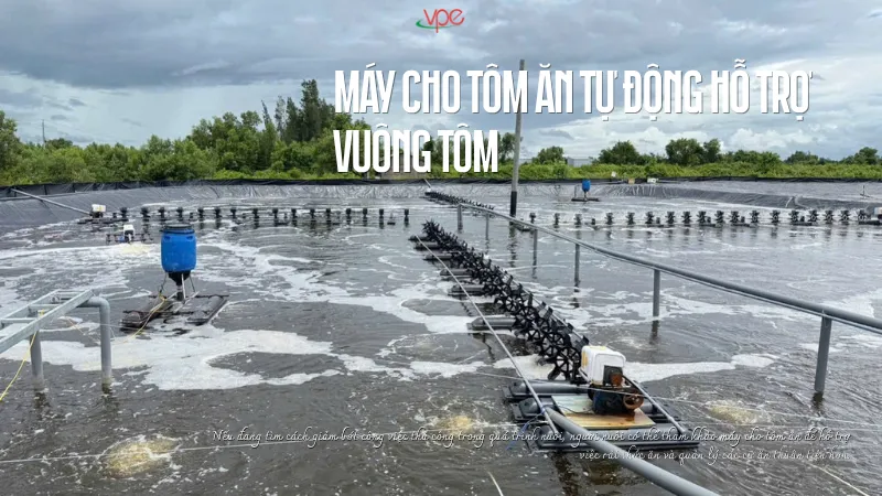 alt="cho tôm ăn bằng máy cho tôm ăn 2 Nguyên"